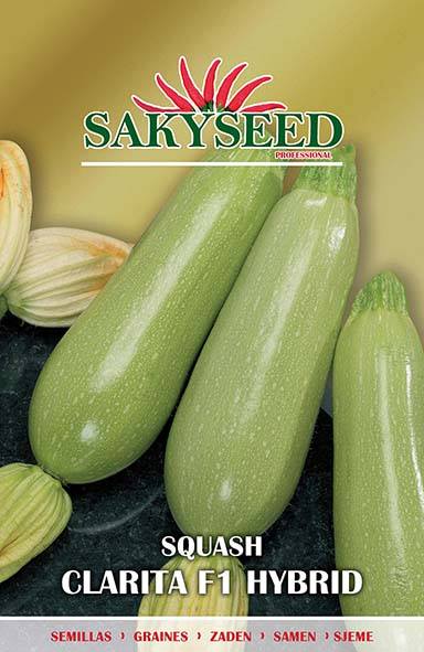 ZUCCHINO F.1 CLARITA NR.1000 SEMI